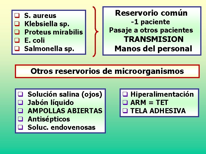 q q q S. aureus Klebsiella sp. Proteus mirabilis E. coli Salmonella sp. Reservorio