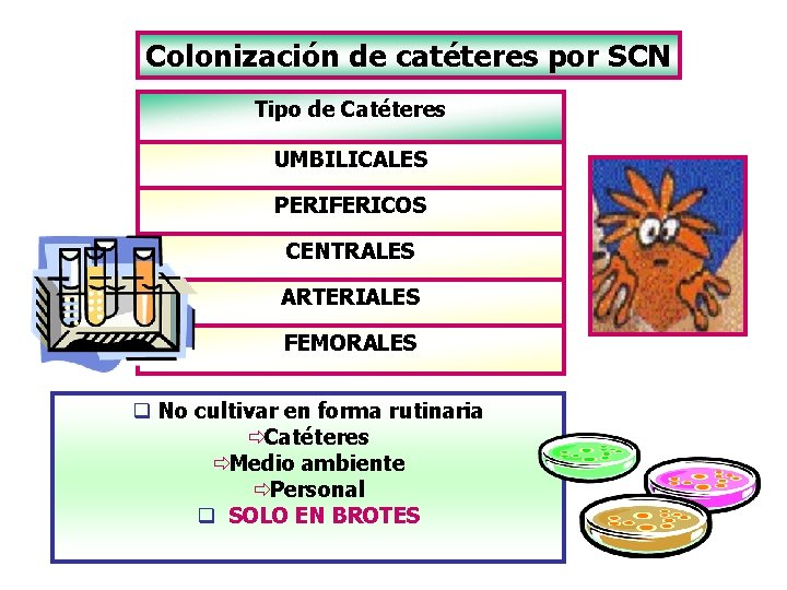 Colonización de catéteres por SCN Tipo de Catéteres UMBILICALES PERIFERICOS CENTRALES ARTERIALES FEMORALES q