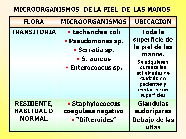 MICROORGANISMOS DE LA PIEL DE LAS MANOS FLORA MICROORGANISMOS UBICACION TRANSITORIA § Escherichia coli