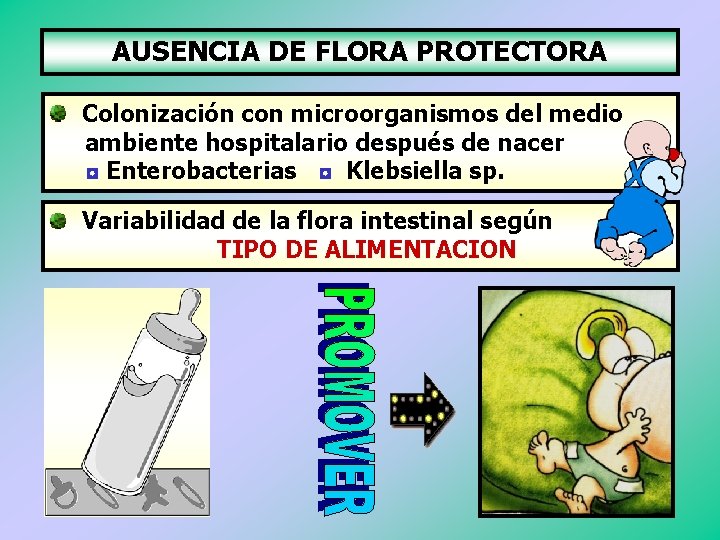 AUSENCIA DE FLORA PROTECTORA Colonización con microorganismos del medio ambiente hospitalario después de nacer