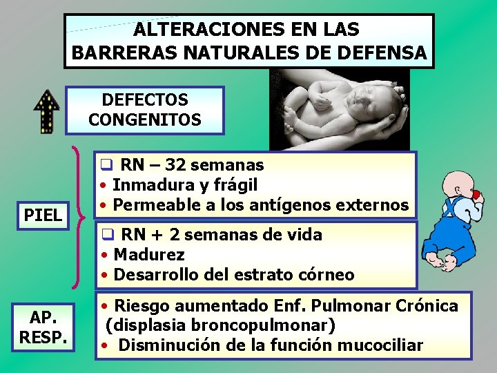 ALTERACIONES EN LAS BARRERAS NATURALES DE DEFENSA DEFECTOS CONGENITOS PIEL AP. RESP. q RN