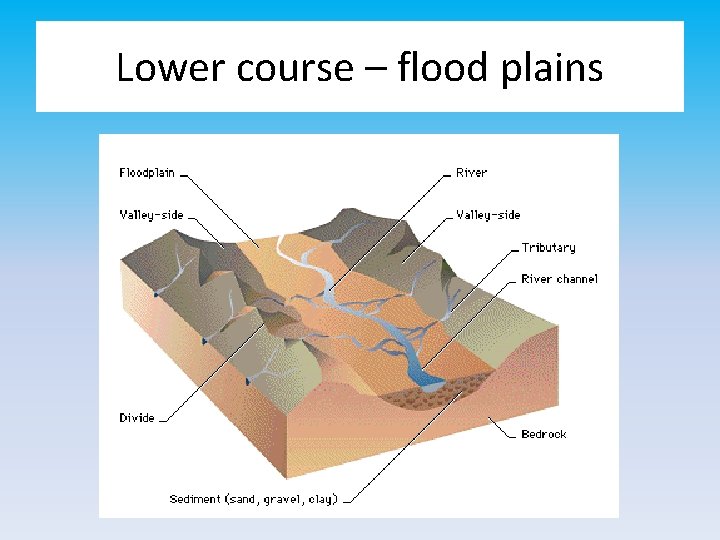 Lower course – flood plains 