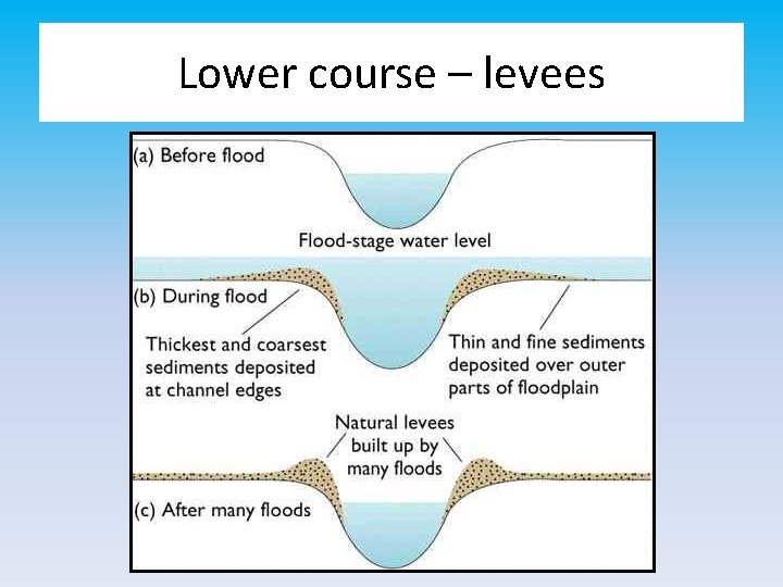 Lower course – levees 