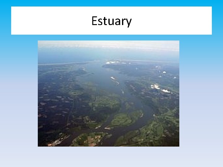 Estuary 