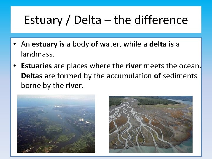 Estuary / Delta – the difference • An estuary is a body of water,