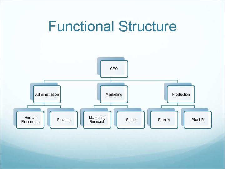 Functional Structure CEO Administration Human Resources Finance Marketing Research Production Sales Plant A Plant