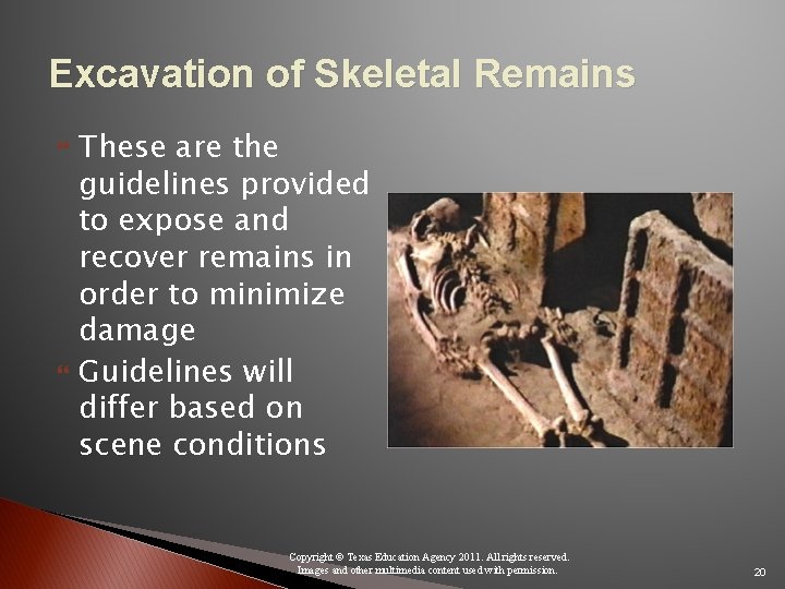 Excavation of Skeletal Remains These are the guidelines provided to expose and recover remains