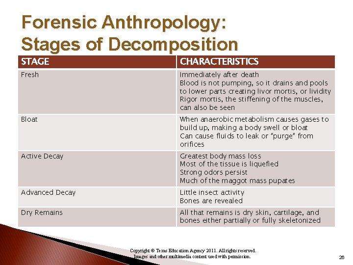 Forensic Anthropology: Stages of Decomposition STAGE CHARACTERISTICS Fresh Immediately after death Blood is not