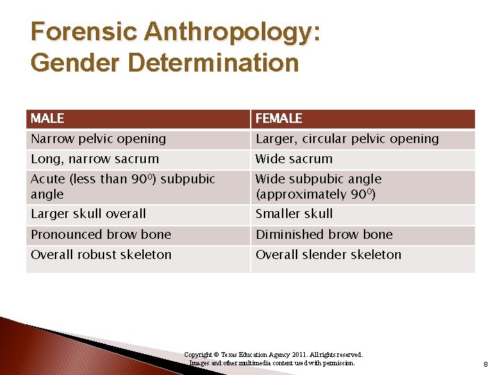 Forensic Anthropology: Gender Determination MALE FEMALE Narrow pelvic opening Larger, circular pelvic opening Long,