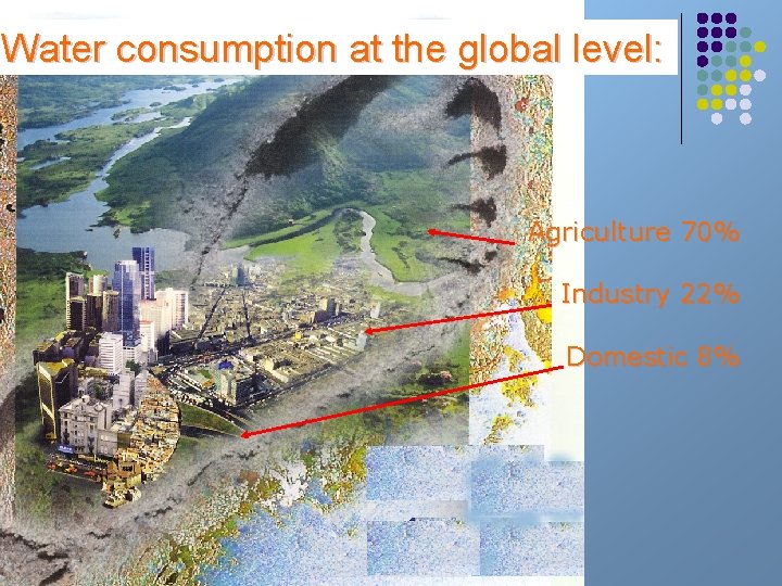 Water consumption at the global level: Agriculture 70% Industry 22% Domestic 8% 