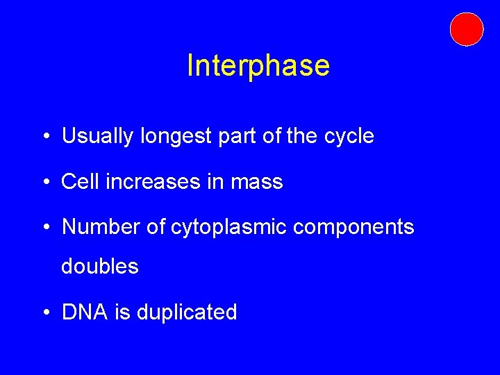 Interphase • Usually longest part of the cycle • Cell increases in mass • Interphase • Usually longest part of the cycle • Cell increases in mass •