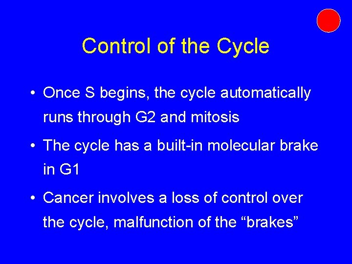 Control of the Cycle • Once S begins, the cycle automatically runs through G Control of the Cycle • Once S begins, the cycle automatically runs through G