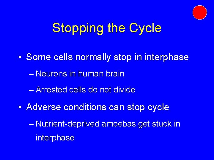 Stopping the Cycle • Some cells normally stop in interphase – Neurons in human Stopping the Cycle • Some cells normally stop in interphase – Neurons in human