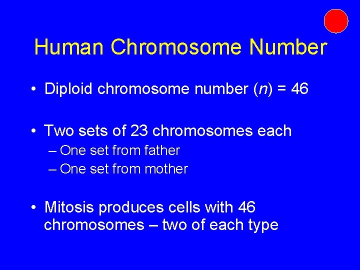 Human Chromosome Number • Diploid chromosome number (n) = 46 • Two sets of Human Chromosome Number • Diploid chromosome number (n) = 46 • Two sets of