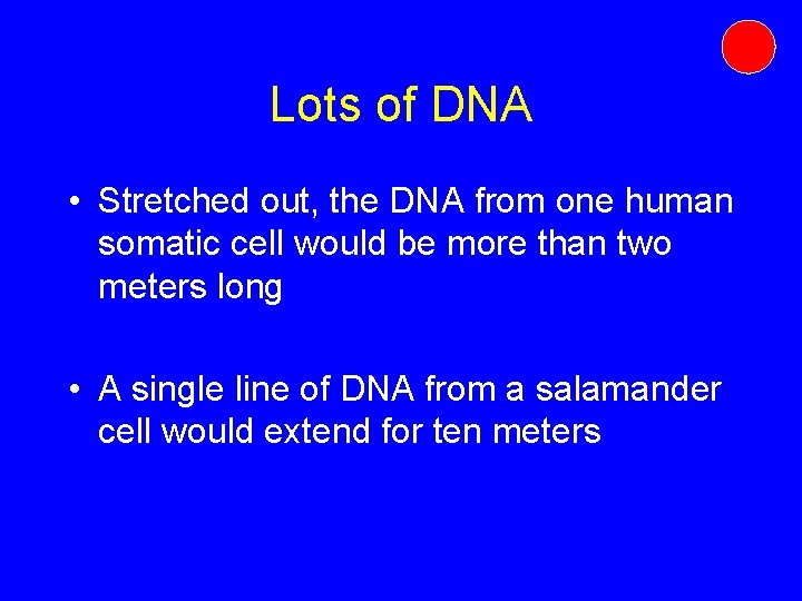 Lots of DNA • Stretched out, the DNA from one human somatic cell would Lots of DNA • Stretched out, the DNA from one human somatic cell would