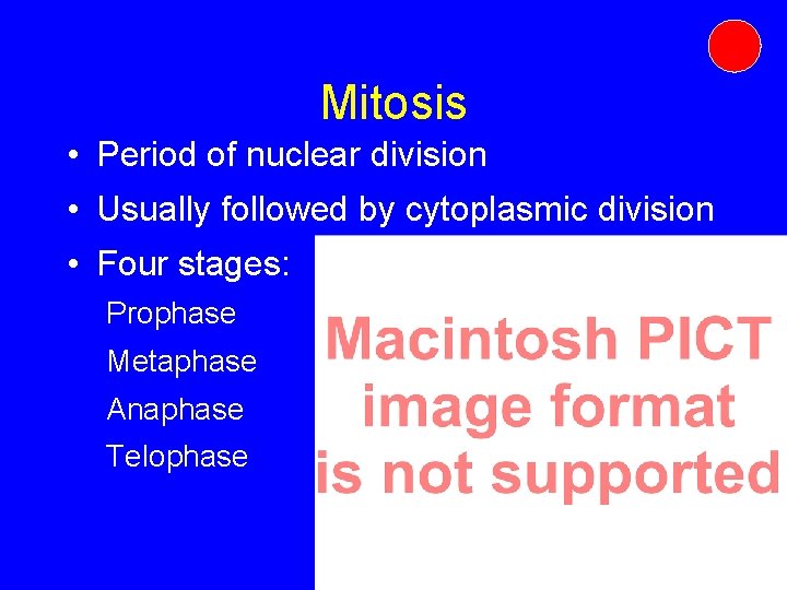 Mitosis • Period of nuclear division • Usually followed by cytoplasmic division • Four Mitosis • Period of nuclear division • Usually followed by cytoplasmic division • Four