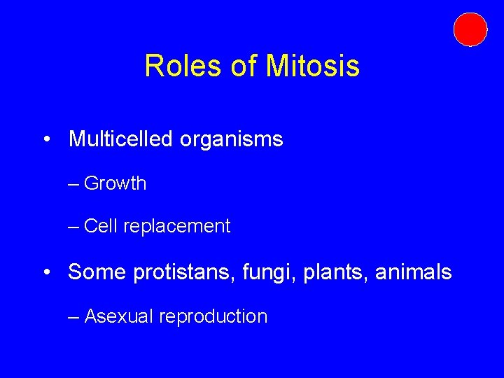Roles of Mitosis • Multicelled organisms – Growth – Cell replacement • Some protistans, Roles of Mitosis • Multicelled organisms – Growth – Cell replacement • Some protistans,
