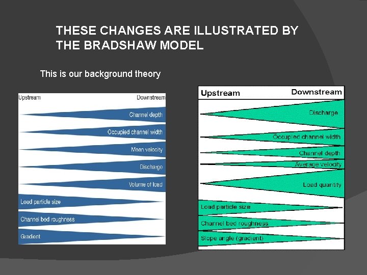 THESE CHANGES ARE ILLUSTRATED BY THE BRADSHAW MODEL This is our background theory 