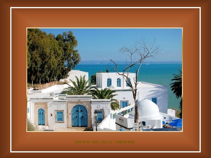 SIDI BOU SAÏD, BELLE TUNISIENNE 