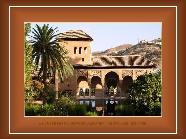 A L'OMBRE DES PALMIERS DE L'ALHAMBRA DE GRENADE - ESPAGNE 