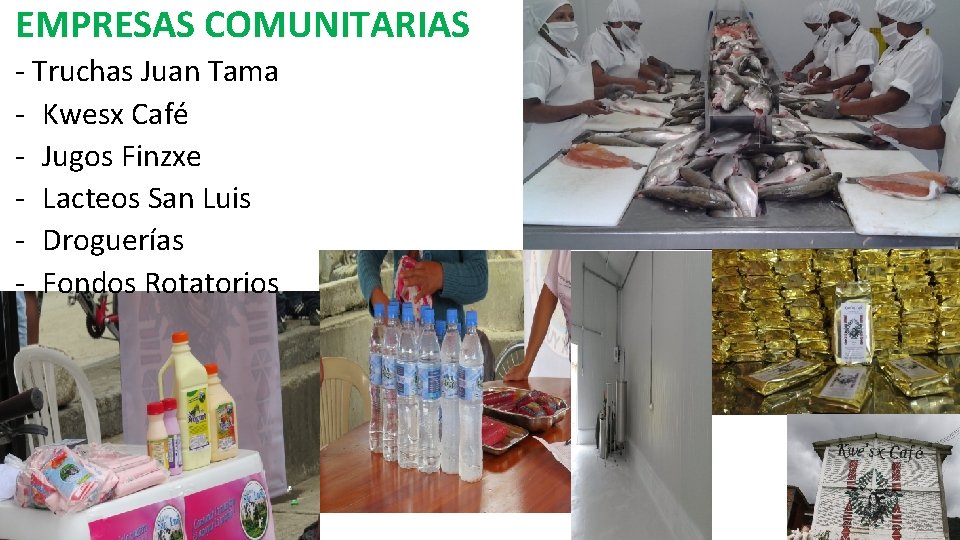 EMPRESAS COMUNITARIAS - Truchas Juan Tama - Kwesx Café - Jugos Finzxe - Lacteos