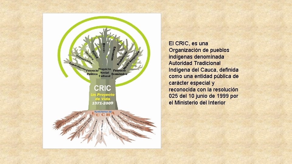 El CRIC, es una Organización de pueblos indígenas denominada Autoridad Tradicional Indígena del Cauca,
