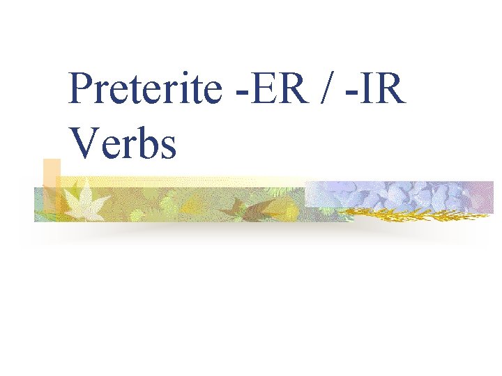Preterite -ER / -IR Verbs 