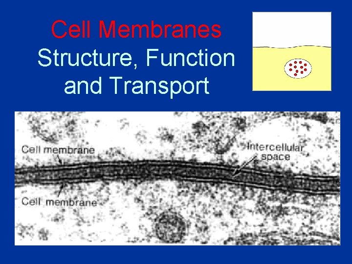 Cell Membranes Structure, Function and Transport 