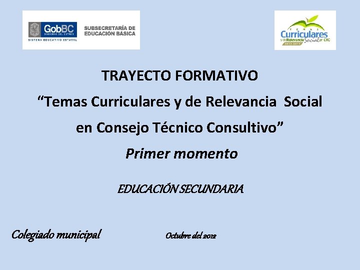 TRAYECTO FORMATIVO “Temas Curriculares y de Relevancia Social en Consejo Técnico Consultivo” Primer momento