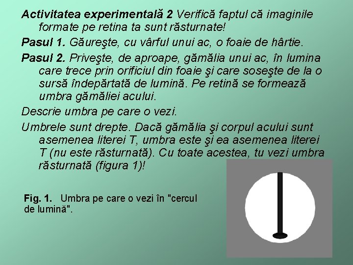 Activitatea experimentală 2 Verifică faptul că imaginile formate pe retina ta sunt răsturnate! Pasul