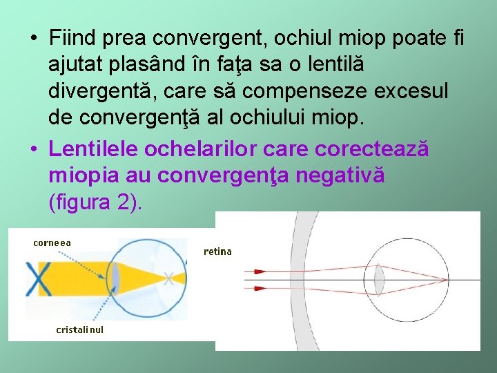  • Fiind prea convergent, ochiul miop poate fi ajutat plasând în faţa sa