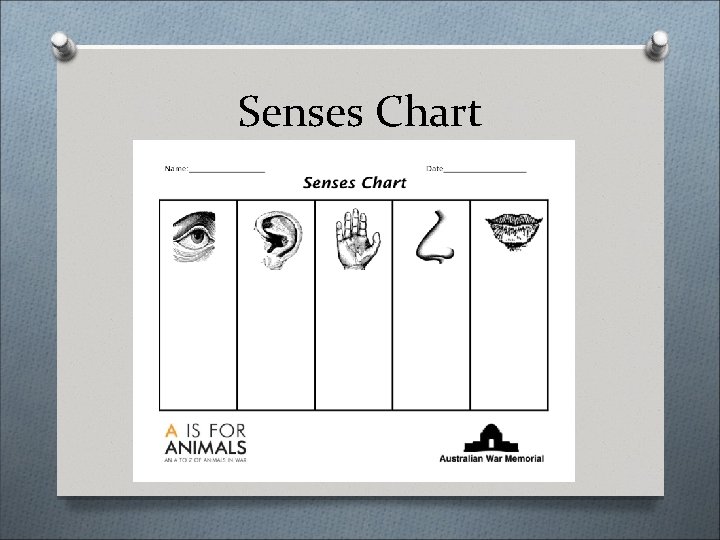 Senses Chart 