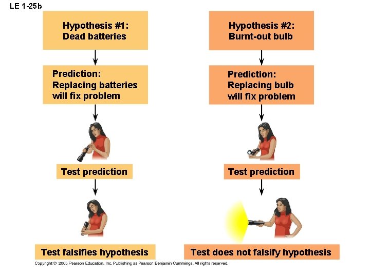 LE 1 -25 b Hypothesis #1: Dead batteries Hypothesis #2: Burnt-out bulb Prediction: Replacing