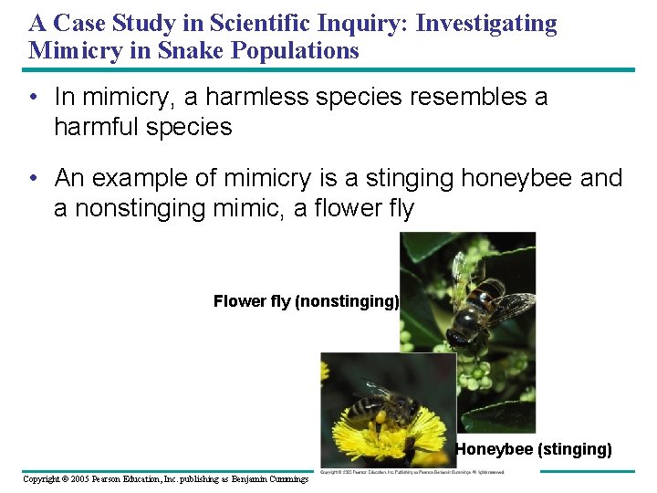 A Case Study in Scientific Inquiry: Investigating Mimicry in Snake Populations • In mimicry,