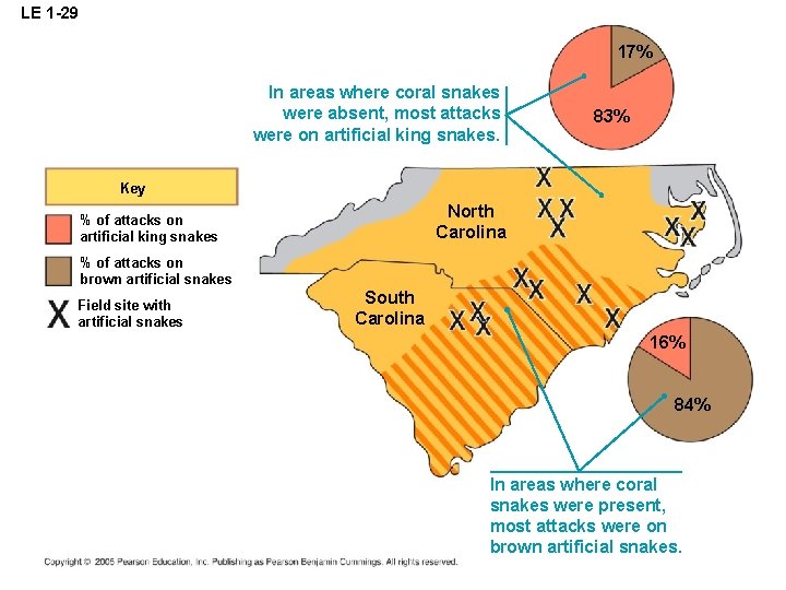 LE 1 -29 17% In areas where coral snakes were absent, most attacks were