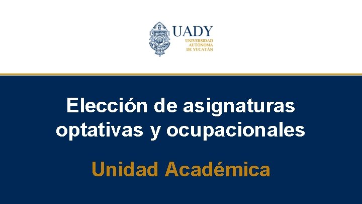 Elección de asignaturas optativas y ocupacionales Unidad Académica 