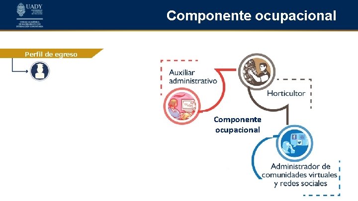 Componente ocupacional Perfil de egreso Componente ocupacional 