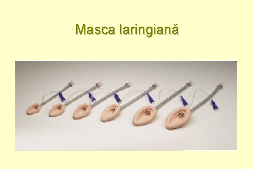 Masca laringiană 