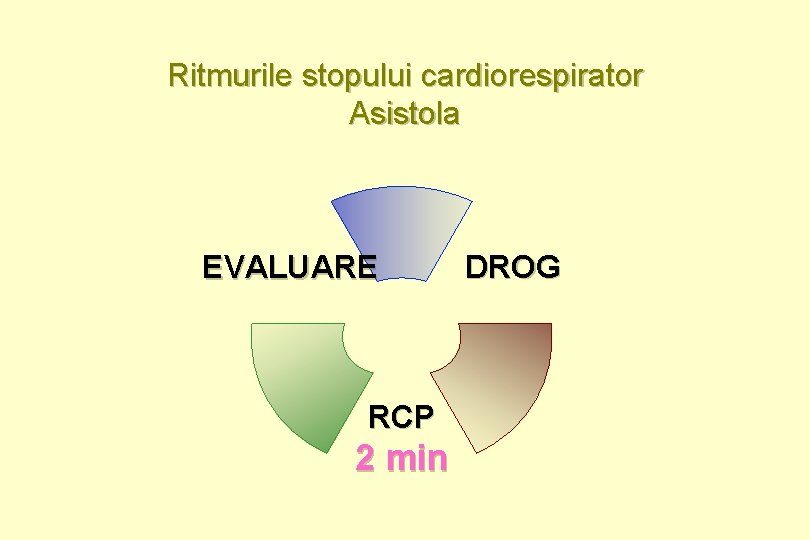 Ritmurile stopului cardiorespirator Asistola EVALUARE RCP 2 min DROG 