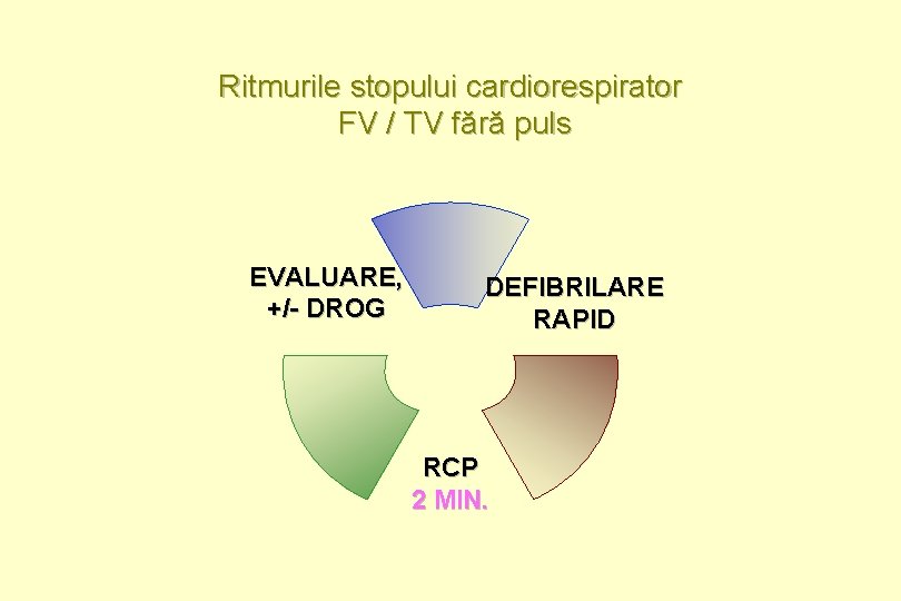 Ritmurile stopului cardiorespirator FV / TV fără puls EVALUARE, +/- DROG DEFIBRILARE RAPID RCP