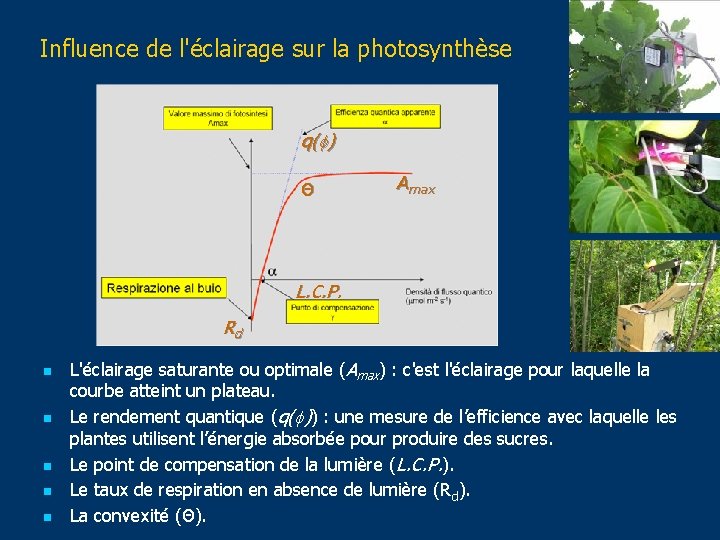 Influence de l'éclairage sur la photosynthèse q( ) Θ Amax L. C. P. Rd