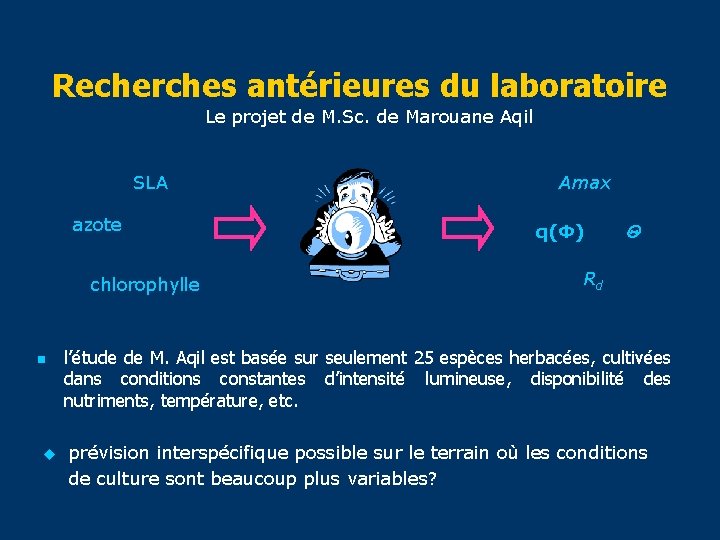 Recherches antérieures du laboratoire Le projet de M. Sc. de Marouane Aqil SLA azote