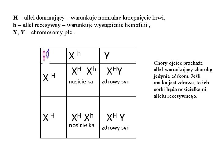 H – allel dominujący – warunkuje normalne krzepnięcie krwi, h – allel recesywny –