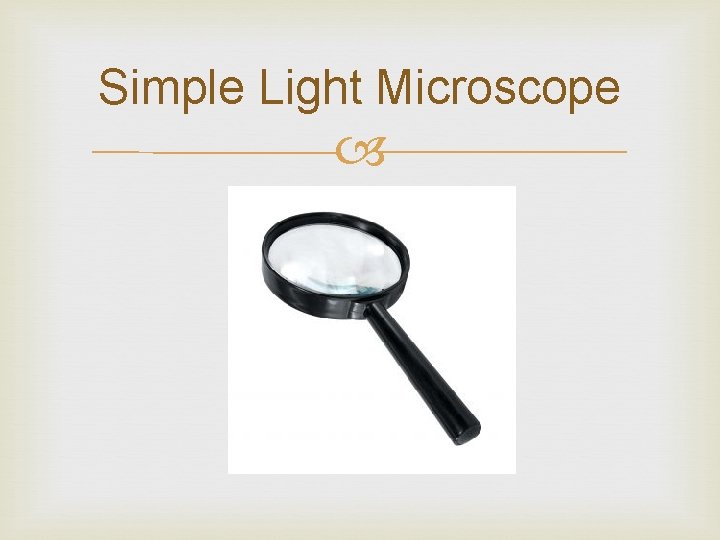 Simple Light Microscope 