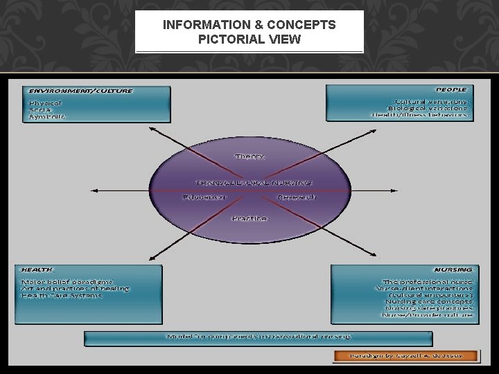 INFORMATION & CONCEPTS PICTORIAL VIEW 