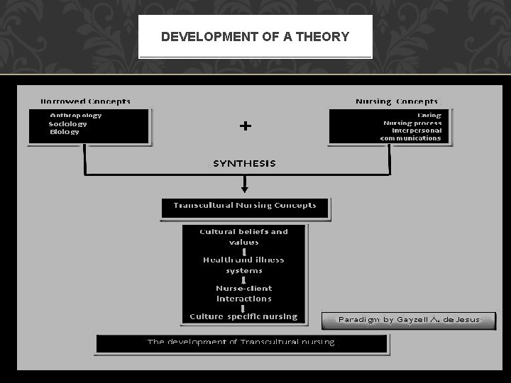 DEVELOPMENT OF A THEORY 