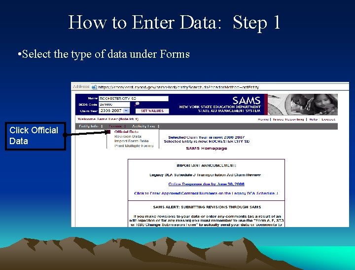 How to Enter Data: Step 1 • Select the type of data under Forms