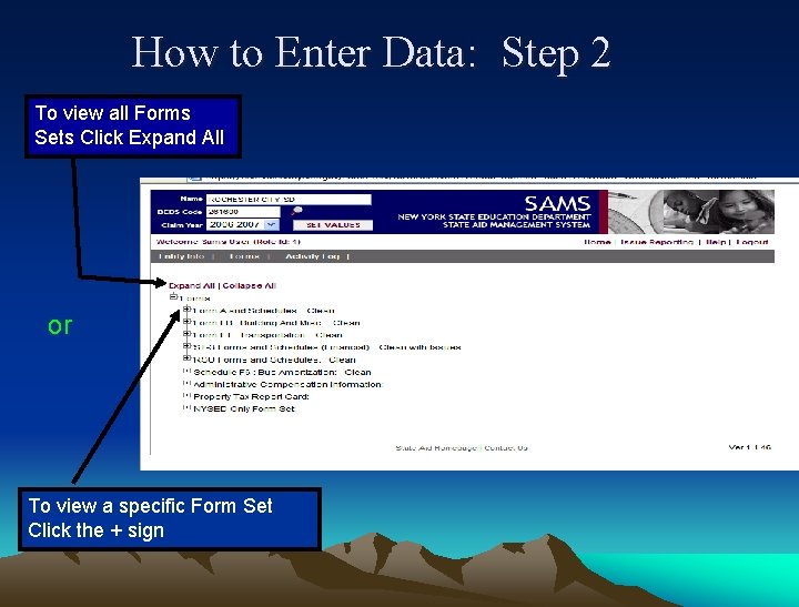 How to Enter Data: Step 2 To view all Forms Sets Click Expand All