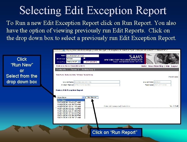 Selecting Edit Exception Report To Run a new Edit Exception Report click on Run