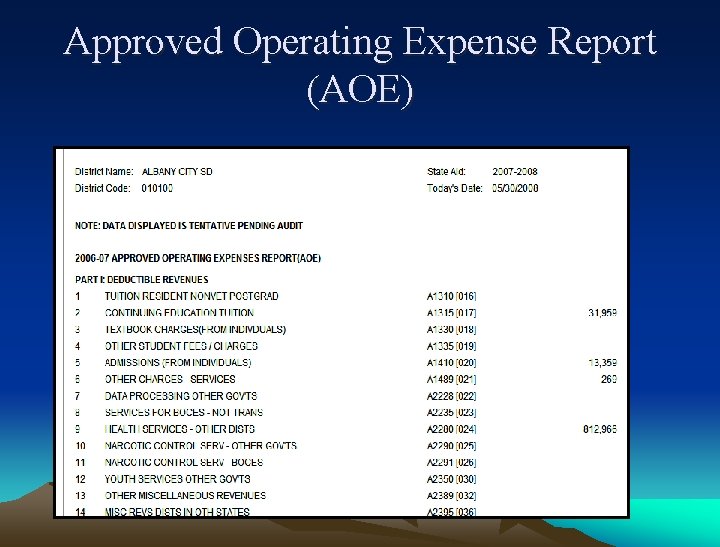 Approved Operating Expense Report (AOE) 